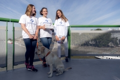 zbierkovy tim Stary most