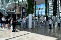 Biela-pastelka-hlavny-zbierkovy-den-2023_09