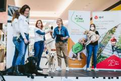 35-Biela-pastelka-2022-Hlavne-podujatie