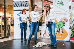 37-Biela-pastelka-2022-Hlavne-podujatie