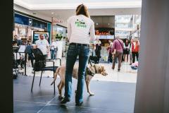 38-Biela-pastelka-2022-Hlavne-podujatie