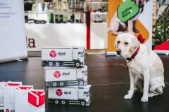 42-Biela-pastelka-2022-Hlavne-podujatie