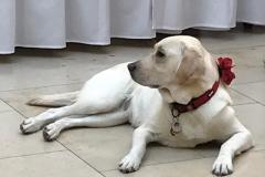 55-Biela-pastelka-2022-Hlavne-podujatie