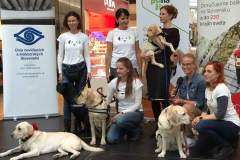 56-Biela-pastelka-2022-Hlavne-podujatie