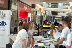 Biela_pastelka_2024_12