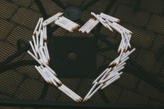 Biela_pastelka_2024_19