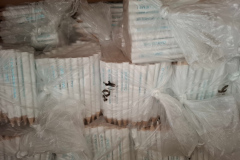 Biela_pastelka_2025_08