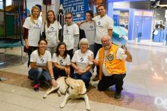 Foto-Biela-pastelka-2019-33